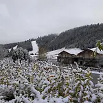 Millésime à Emplacement Idéal Gérardmer