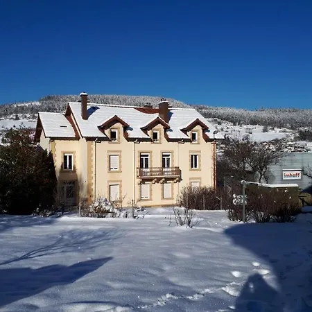 Millesime A Emplacement Ideal Gérardmer