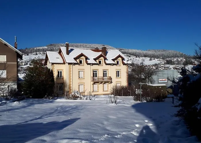 Millesime A Emplacement Ideal Gérardmer